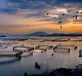贺州伴游中国网景点丰富(旅游网介绍)