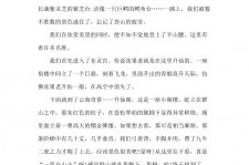 贺州旅游感想(张家界旅游感想)