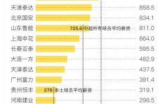 贺州关于伴游小丽中国足球的信息