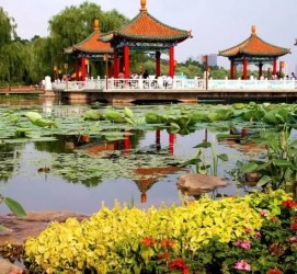 贺州长春旅游攻略(长春旅游攻略必去景点地图)