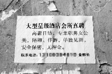 贺州珠海伴游雇用网(珠海游览社雇用信息)