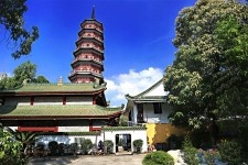 贺州广州自由行(广州 自由行)