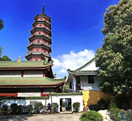 贺州广州自由行(广州 自由行)