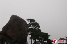贺州上海伴游私家陪游雇用女模(上海伴游私家陪游雇用女模特)