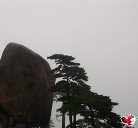 贺州上海伴游私家陪游雇用女模(上海伴游私家陪游雇用女模特)