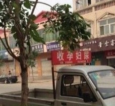 贺州上海伴游 用伴游造句大全(5