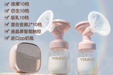 贺州奶模(奶模型)