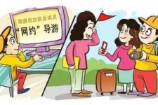 贺州伴游是什么