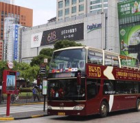 贺州上海私人伴游 上海过年怎么玩？这些“微游”线路了解下→