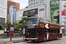 贺州上海私人伴游 上海过年怎么玩？这些“微游”线路了解下→