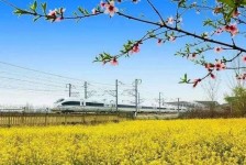 贺州高铁游(高铁游戏下载手机版)