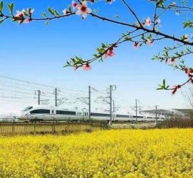 贺州高铁游(高铁游戏下载手机版)