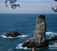 贺州旅游全攻略(上海旅游全攻略)