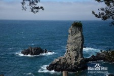 贺州旅游全攻略(上海旅游全攻略)