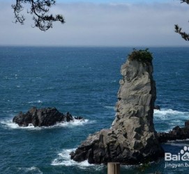 贺州旅游全攻略(上海旅游全攻略)