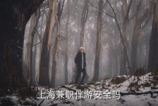 贺州上海私人伴游 上海伴游，上海兼职伴游安全吗