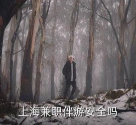 贺州上海私人伴游 上海伴游，上海兼职伴游安全吗