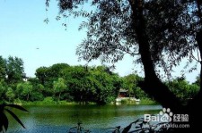 贺州西湖旅游攻略(上海到杭州西湖旅游攻略)