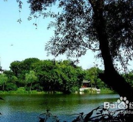 贺州西湖旅游攻略(上海到杭州西湖旅游攻略)
