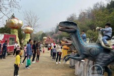 贺州中国伴游带你打卡网红南山竹海(南山竹海网上预约)