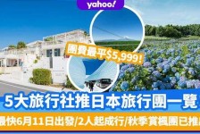 贺州旅游价格(旅游价格机制)