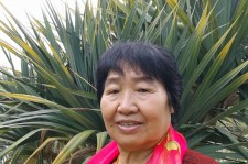 贺州白叟带老伴游半个中国(白叟外出旅游)