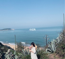 贺州厦门周边游(厦门及周边旅游攻略)