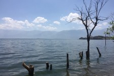 贺州洱海旅游攻略(洱海旅游攻略自由行)