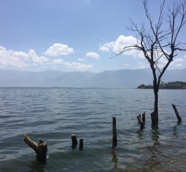 贺州洱海旅游攻略(洱海旅游攻略自由行)