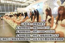 贺州雇用旅游男伴游(北京商务酒店雇用伴游)