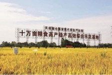 贺州关于成都商务伴游外围雇用的信息