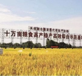 贺州关于成都商务伴游外围雇用的信息