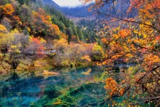 贺州四川旅游攻略(四川旅游攻略十五日游)