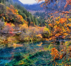 贺州四川旅游攻略(四川旅游攻略十五日游)