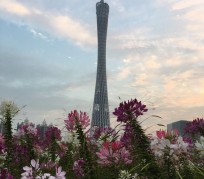 贺州广州旅游攻略(杭州到广州旅游攻略)