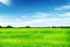 贺州上海伴游 上海模特伴游微信号的交友宣言