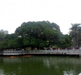 贺州福州旅游攻略(福州旅游攻略二日游)