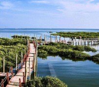 贺州旅游哪里好玩(云南旅游哪里好玩)
