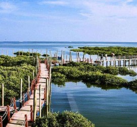 贺州旅游哪里好玩(云南旅游哪里好玩)