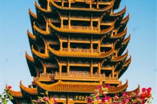 贺州武汉游玩攻略(武汉游玩攻略路线)