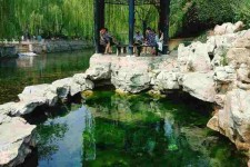 贺州济南旅游攻略(青岛威海济南旅游攻略)