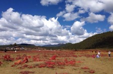 贺州旅游去处(暑期最好的旅游去处)