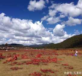 贺州旅游去处(暑期最好的旅游去处)