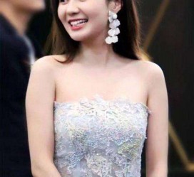 贺州cnbanycom伴游中国明星的简单介绍