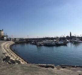 贺州大连旅游攻略(大连旅游攻略自由行)
