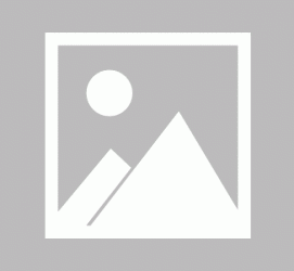 贺州私人伴游 黄金周里动“黄”经 天津又现“私人陪游”逆流